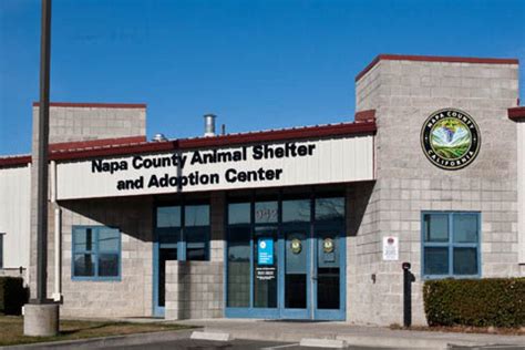 Napa animal shelter - Animal Shelter Title: Shelter Supervisor Phone: 707-253-4382 ... County Administration Building 1195 Third Street Napa, CA 94559 ... 